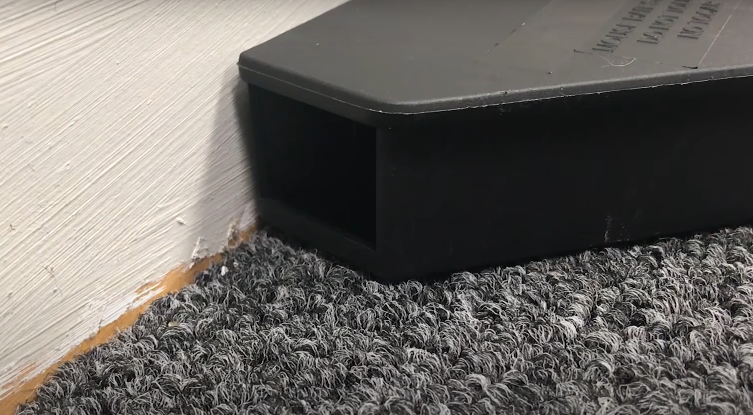 How to Find Where Mice Are Coming Into House? - HomeProfy
